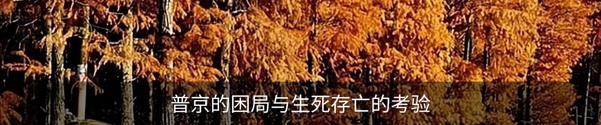 行业资讯